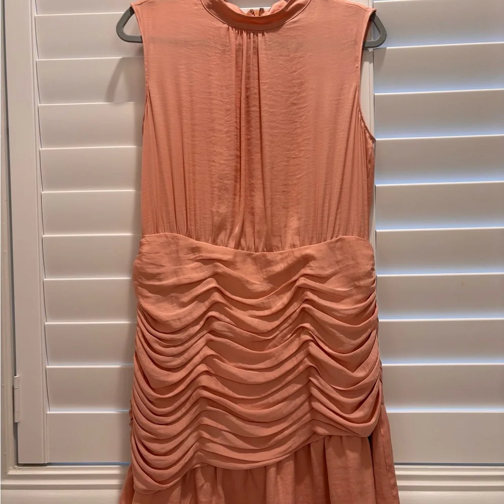Naked Zebra Peach Ruched Mini Dress - Picture 6 of 8